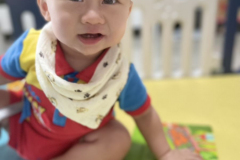 S__19054687_0