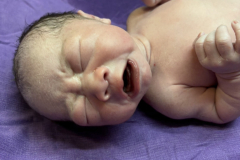 สำเนาของ-สำเนาของ-สำเนาของ-IMG_6676